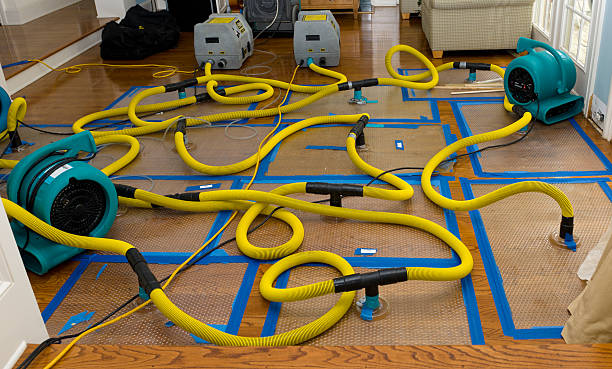 Professional Water Extraction technician working in Memphis, MO